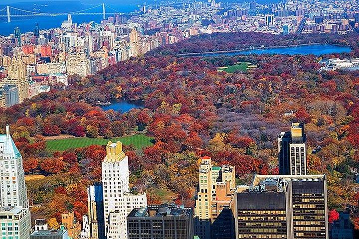 New York Tour by Subway and Bus with Private Guide