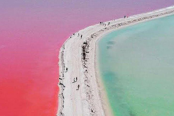 Adventour Day: Coloradas and Rio Lagartos Excursion from Cancun!