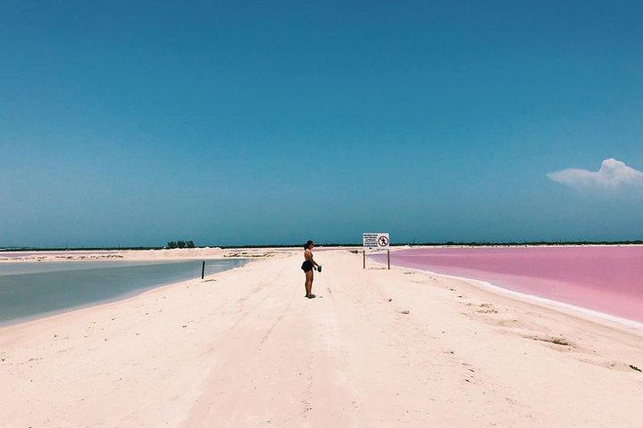 Adventour Day: Coloradas and Rio Lagartos Excursion from Cancun!