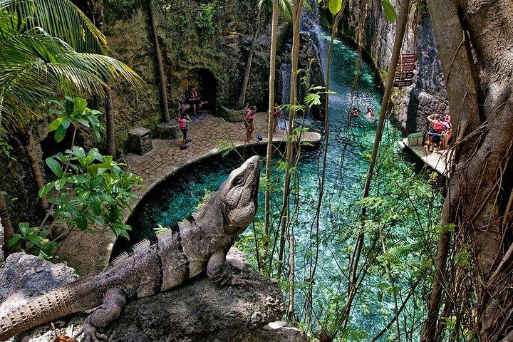 Full day Xcaret Plus & Buffet & from Cancun & Playa del Carmen