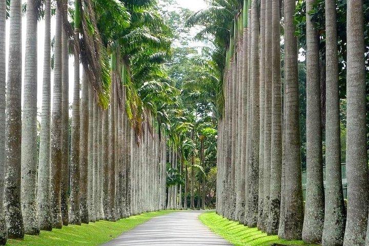 Adventures of the Last Kingdom of Sri Lanka