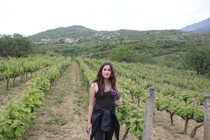 Berat Grand Wine Tasting & Food Tour