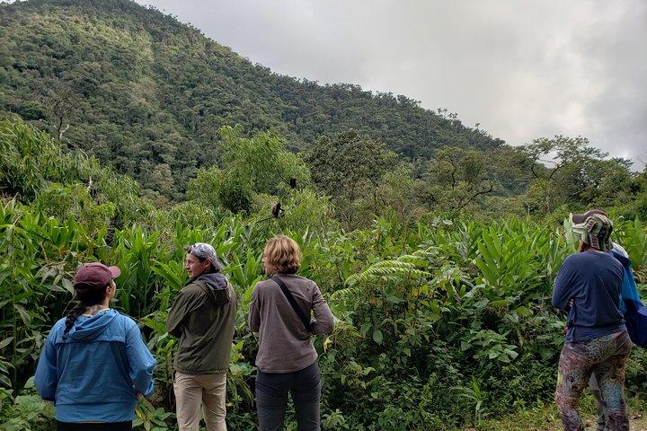 Manu National Park Tour 4days/3night