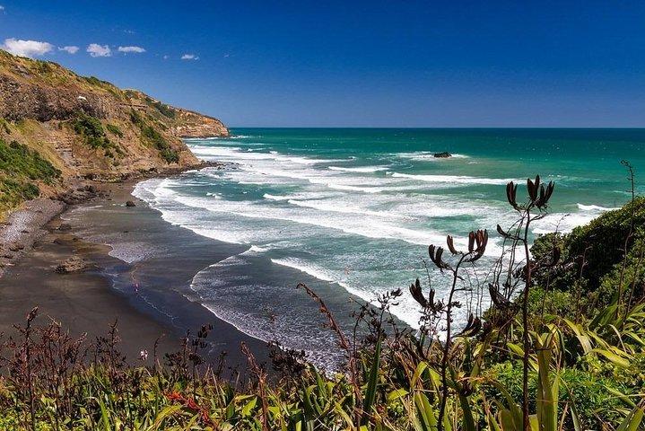 Private Tour - Muriwai Beach & Wine Tasting