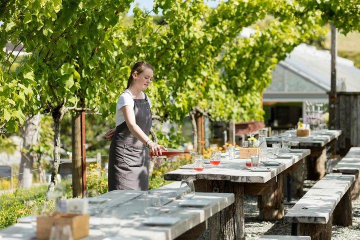Private tour - Matakana Art & Wine Village