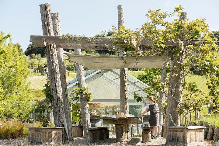 Private tour - Matakana Art & Wine Village