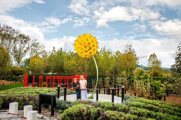 Private tour - Matakana Art & Wine Village