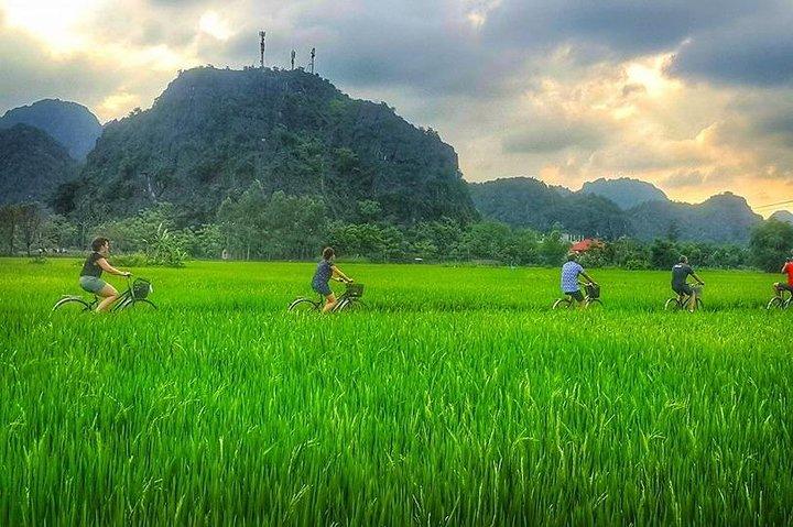 Ninh Binh Tour: Deluxe & Small Group Tam Coc Hoa Lu - Boat, Biking, Buffet Lunch
