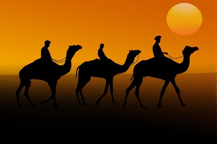 Evening Desert Safari In Dubai With Dune Bashing Ride
