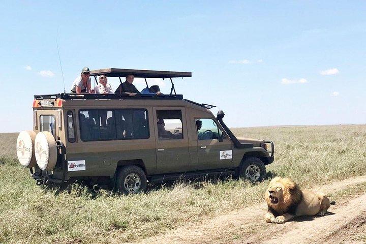 8 Day Spectacular Migration Serengeti mid -Range Tanzania Safari