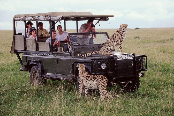 5 Days Ol pejeta, Lake Naivasha & Masai Mara Private Safari