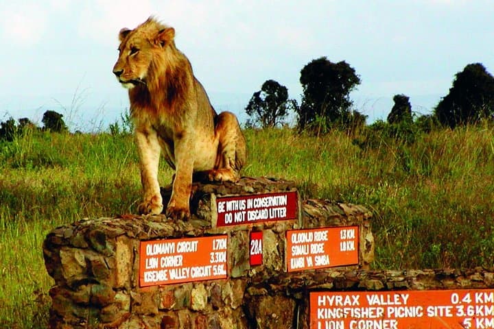 Nairobi National park, Elephant Orphanage&Bomas Cultural Dance