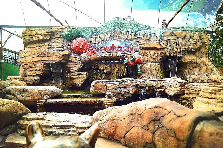 Genting Day Tour From Kuala Lumpur Include 2-way Cable Car Ride