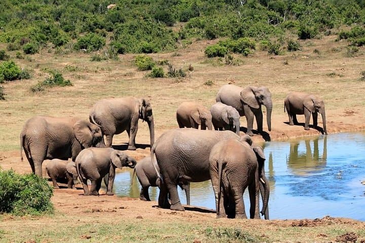 3 Day Samburu Game Reserve Tour from Nairobi