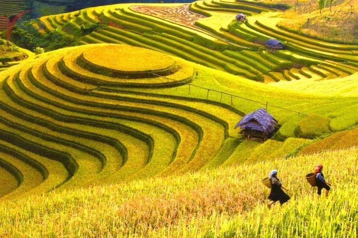 Colors of Sapa - Vietnam 2 Days Tour