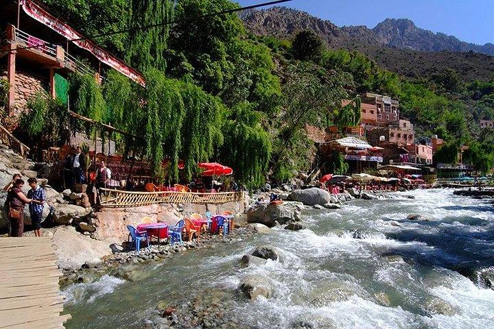 Marrakesh day trip to Atlas Mountains & Ourika Valley