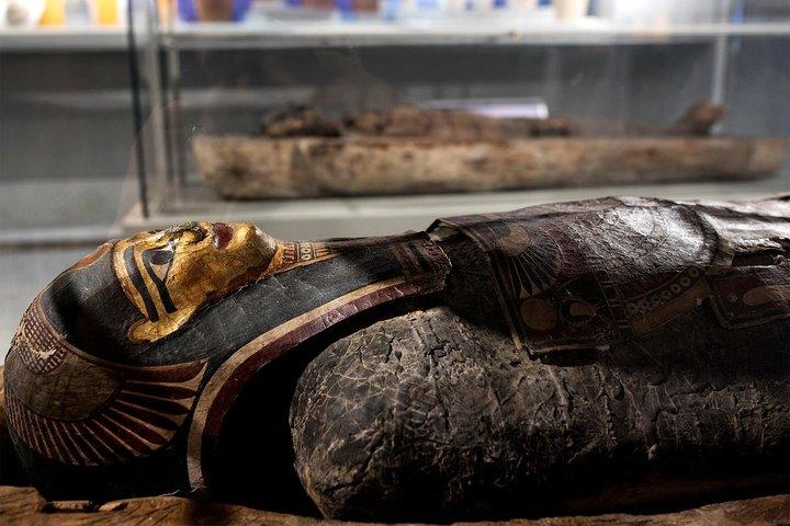 Guided Tour of the Archaeological Museum of Naples