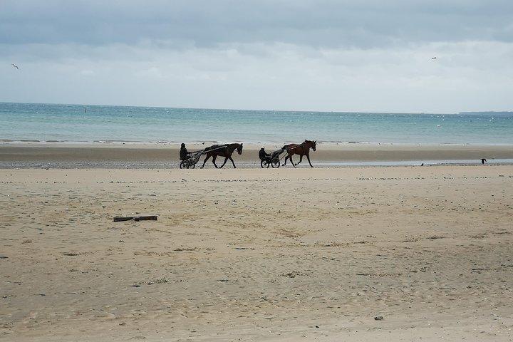 Normandy Beaches Half-Day Afternoon Trip from Bayeux (A2)