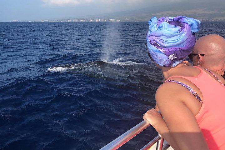 WHALES GUARANTEED Maui Whale Watching Makai Adventures