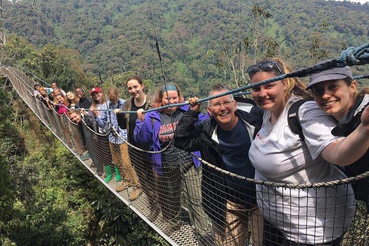 2 Days of Chimpanzee Trekking - Nyungwe National Park