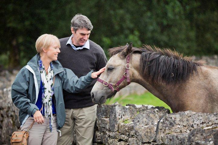 Private Half Day Tour To Connemara