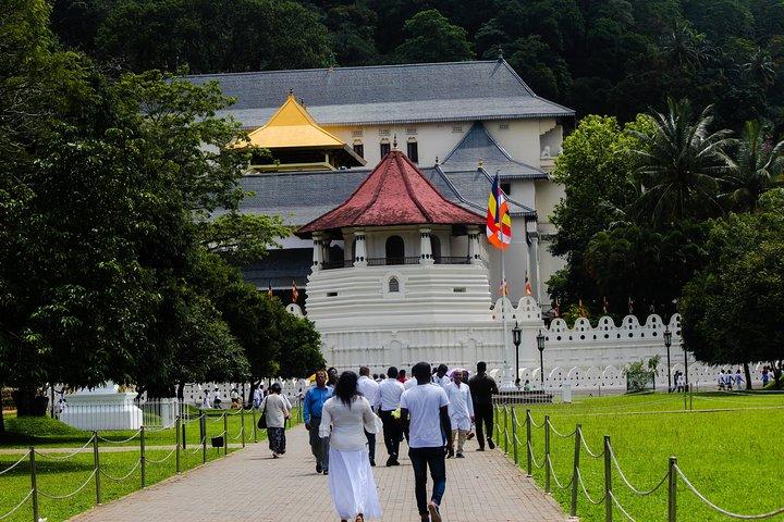 Kandy Day Tour from Colombo or Negombo by Private Car or Van with Driver