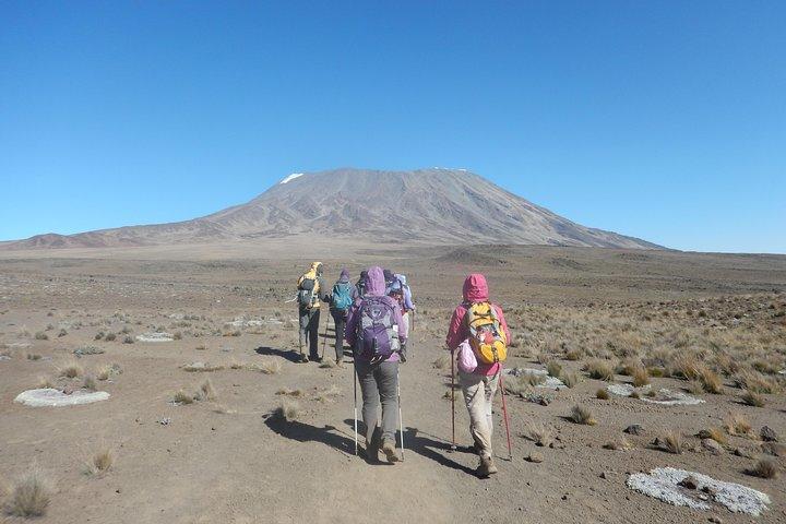 Climbing Mt. Kilimanjaro using Machame Route