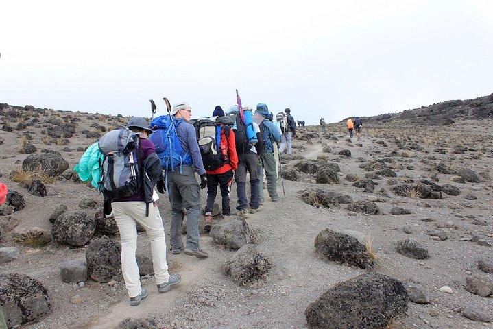 Kilimanjaro Climb Umbwe Route 6 days