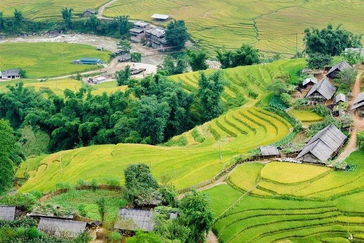8-Day Package Tour: Hanoi - Ninh Binh - Sapa - Halong Bay