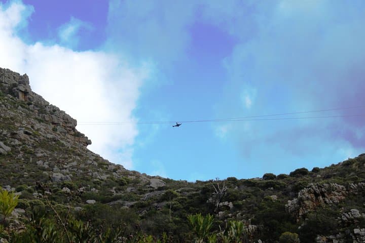 Zipline Cape Town - From Foot of Table Mountain Reserve