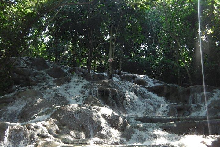 Private Tour From Ocho Rios To Dunn's River Falls