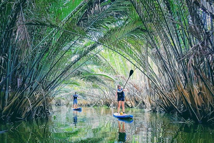 Paddling to explore the historic Vietnam War Rach Chiec jungle,