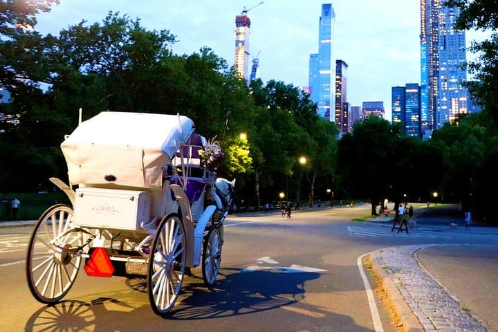Central Park & Rockefeller Tour (4 Adults)