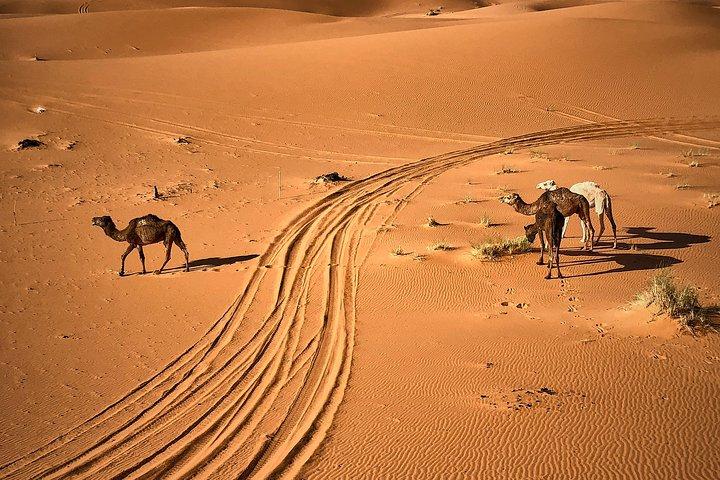 4-Day, 3-Night Marrakech to Marrakech Desert tour