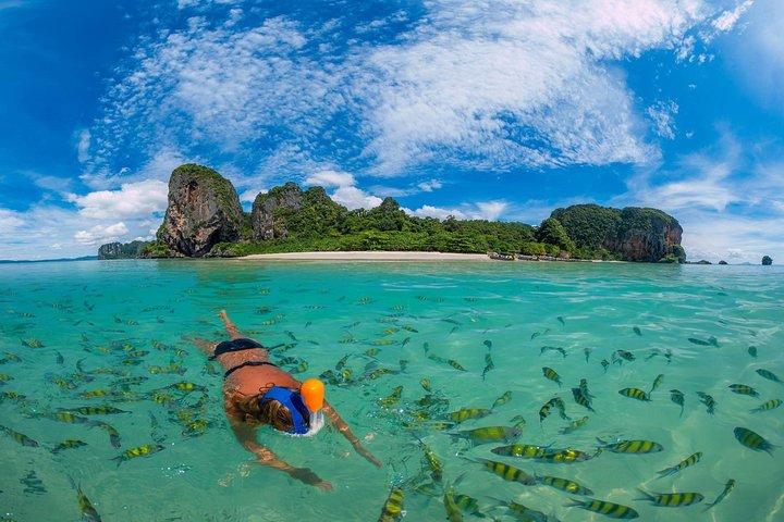 Private Phi Phi Islands Customized Tours