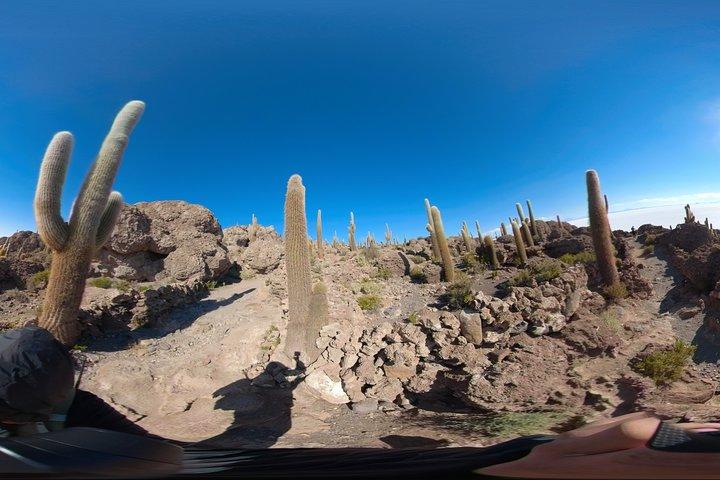 Salt Flats And Colored Lagoons 3d 2n Tour + Transfer to San Pedro de Atacama