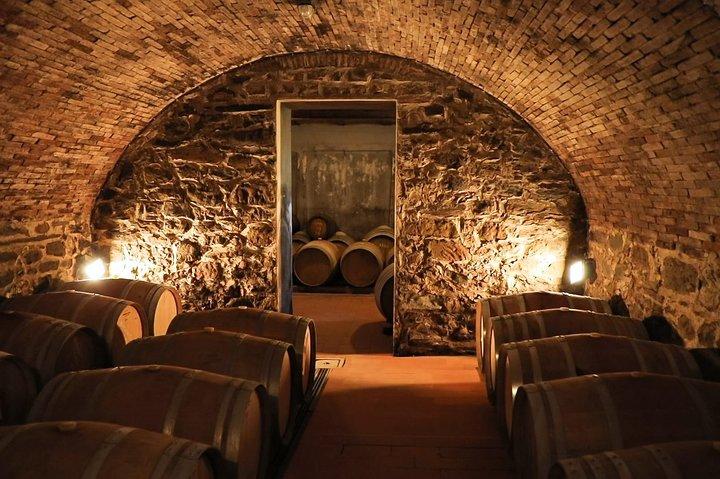 Half-Day Chianti Wine Tasting from Florence with Two Wineries