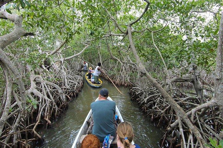 Cartagena : Private Mangrove Tour + Lunch + Horse riding