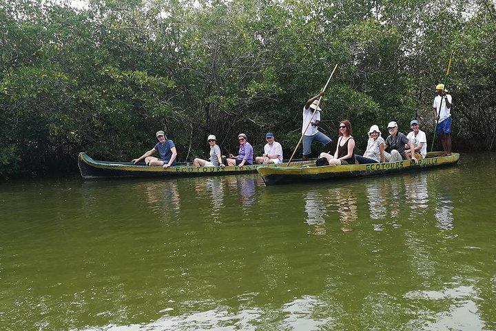 Cartagena : Private Mangrove Tour + Lunch + Horse riding