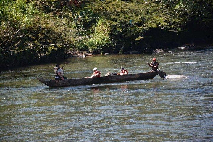 One day tour in the jungle. all inclusive.
