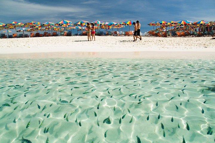 Khai Islands Tour by Speed Boat - Half Day Tour