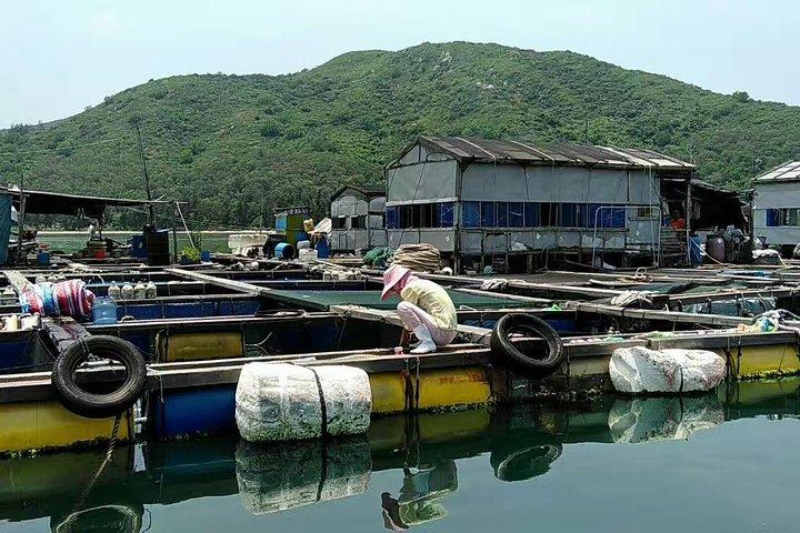 Authentic Fishing Village Tour with Great Seafood Lunch & Relaxing Beach Time