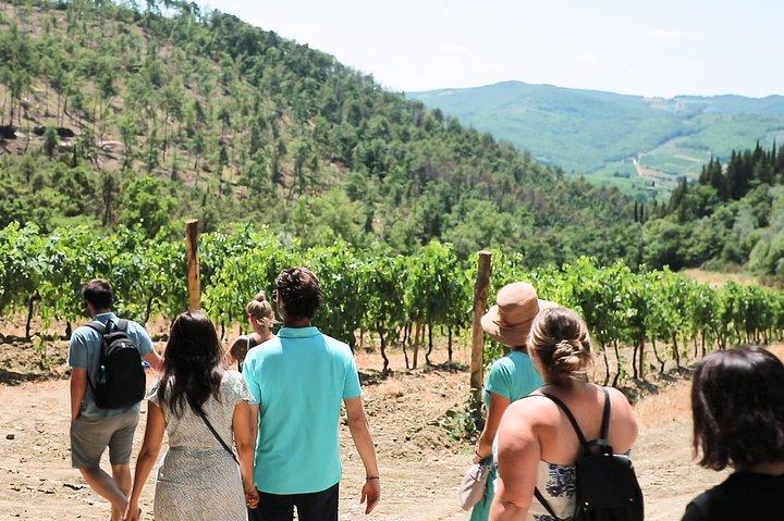 Half-Day Chianti Wine Tasting from Florence with Two Wineries