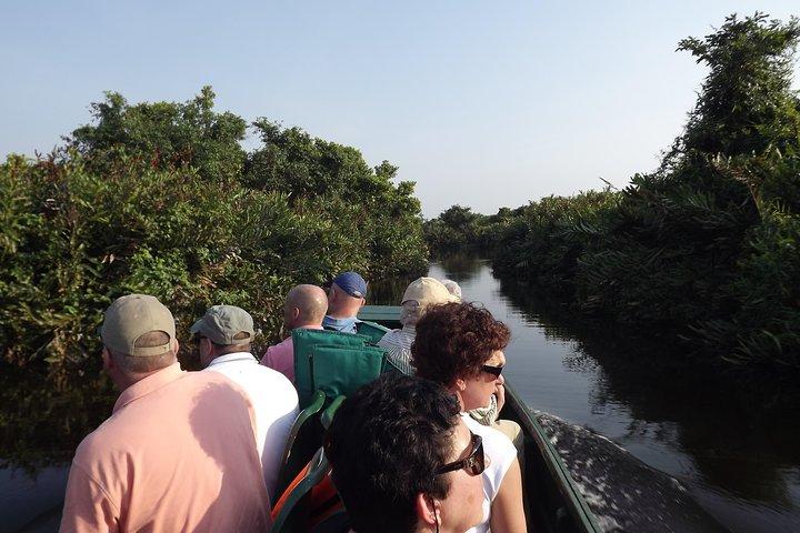 The birdwatchers quest:through the Swamp of Royal Treasure–Muturajawela Wetlands