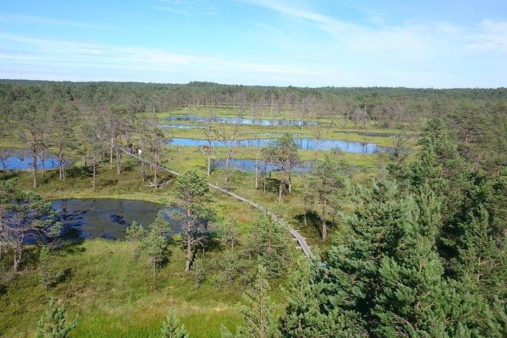 Lahemaa national park in Estonia