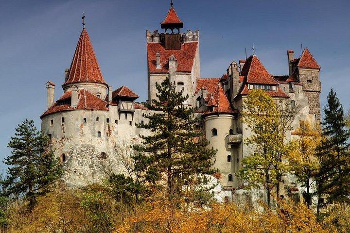 Dracula Castle, Peles Castle & Brasov-Private Tour from Bucharest