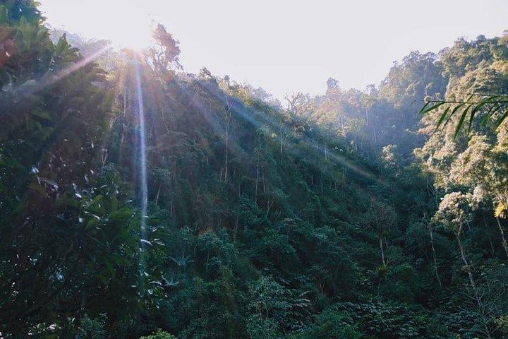 Discover rice fields and nature of Sapa – 1 day