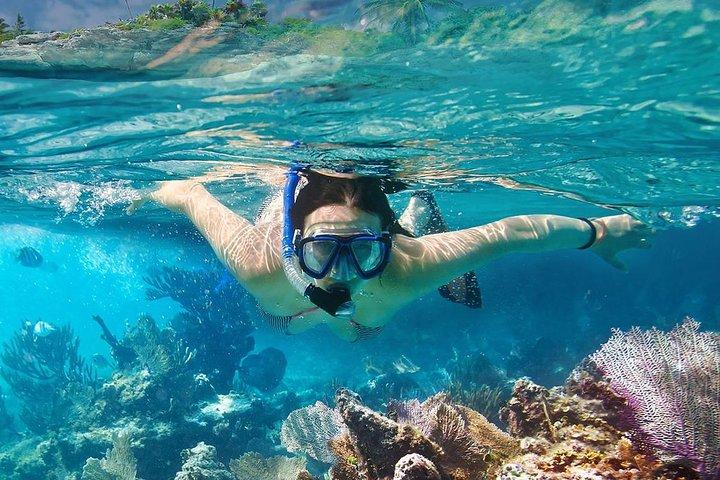 Koh Tao and Koh Nangyuan Snorkeling Tour by Speedboat from Ko Samui