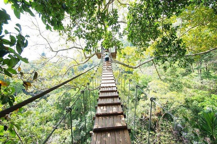 Flying Hanuman 42 platforms with ATV Adventure