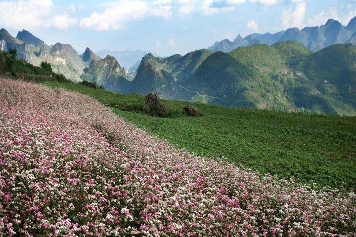 Private Tour: Ha Giang 3 days 4 nights